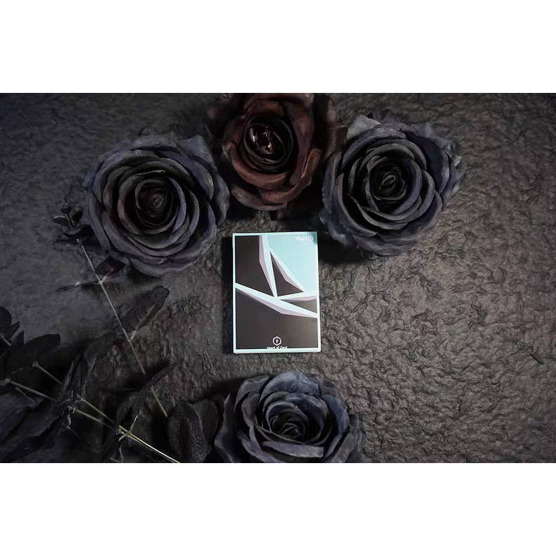 【千葉撲克】現貨 瑜慈追光 撲克牌 花切撲克牌 性價比超高花切練習牌 魔術 魔術道具 撲克牌 紙牌 花切練習牌 收藏牌-細節圖2