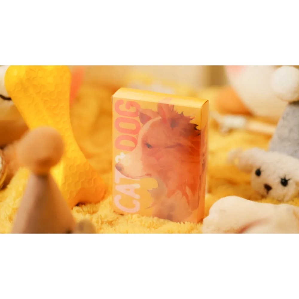 【千葉撲克】現貨 貓狗 漸變牌盒 撲克牌 Tcc Fashion系列 花切撲克牌 貓貓 狗狗 寵物撲克 練習牌 收藏牌-細節圖2