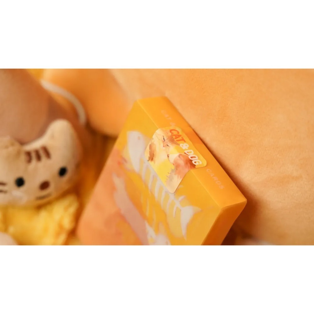 【千葉撲克】現貨 貓狗 漸變牌盒 撲克牌 Tcc Fashion系列 花切撲克牌 貓貓 狗狗 寵物撲克 練習牌 收藏牌-細節圖5