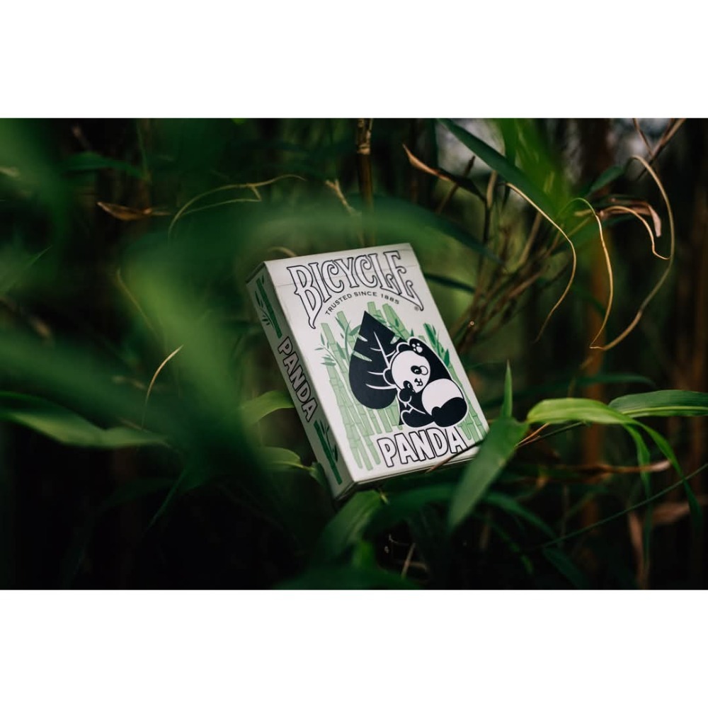 【千葉撲克】現貨 Bicycle 熊貓 撲克牌 Panda 魔術 收藏牌 花切專用牌 禮物 紙牌 uspcc 渡邊燙金-細節圖10