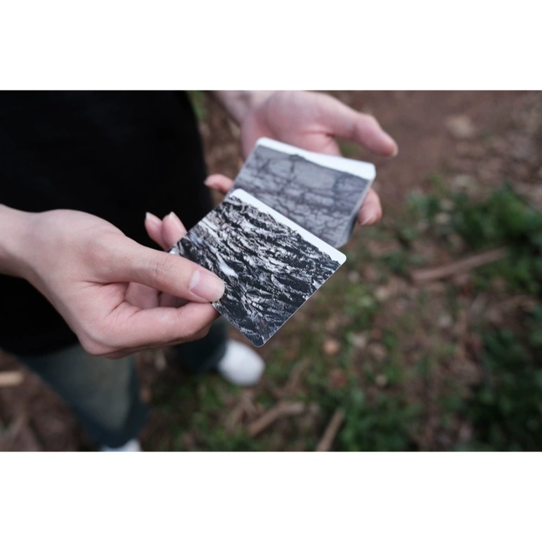 【千葉撲克】現貨 Under Darkroom Tree 樹 UDR花切潮牌 木紋 撲克牌 收藏魔術花切專用牌 紙牌-細節圖4