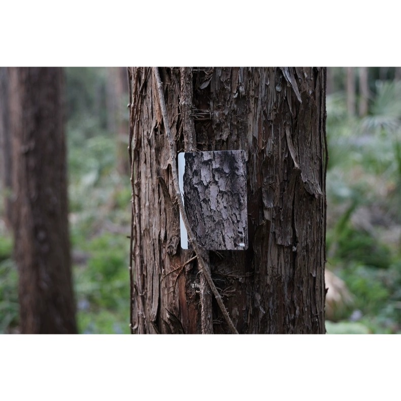 【千葉撲克】現貨 Under Darkroom Tree 樹 UDR花切潮牌 木紋 撲克牌 收藏魔術花切專用牌 紙牌-細節圖10