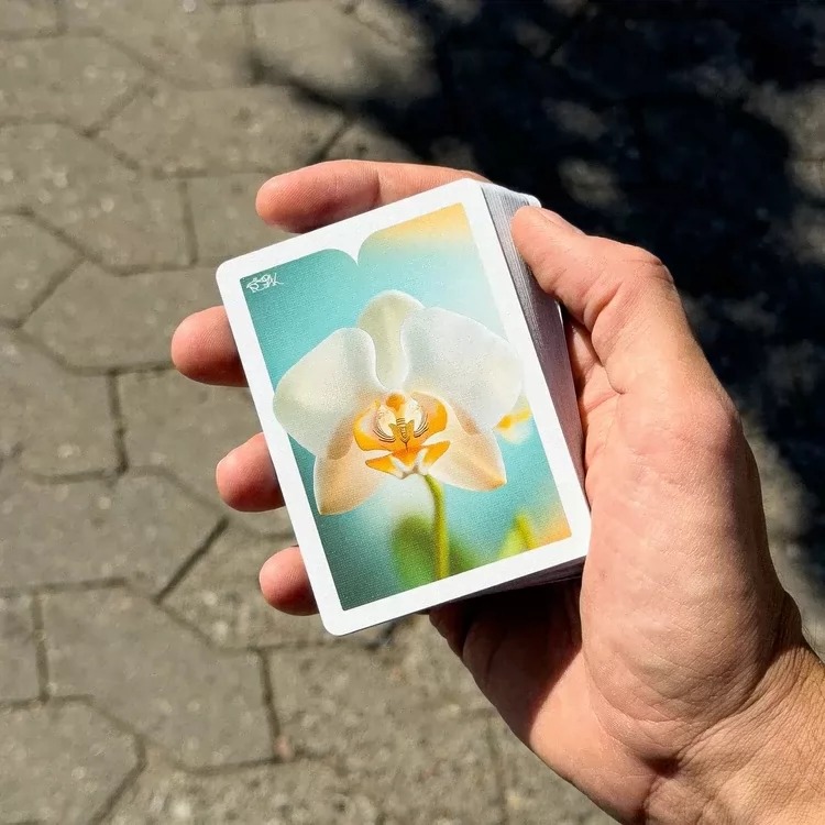 【千葉撲克】現貨 Dealersgrip 蘭花 Sepal Orchid│DG撲克牌 花萼 收藏牌 魔術 花切專用牌-細節圖2