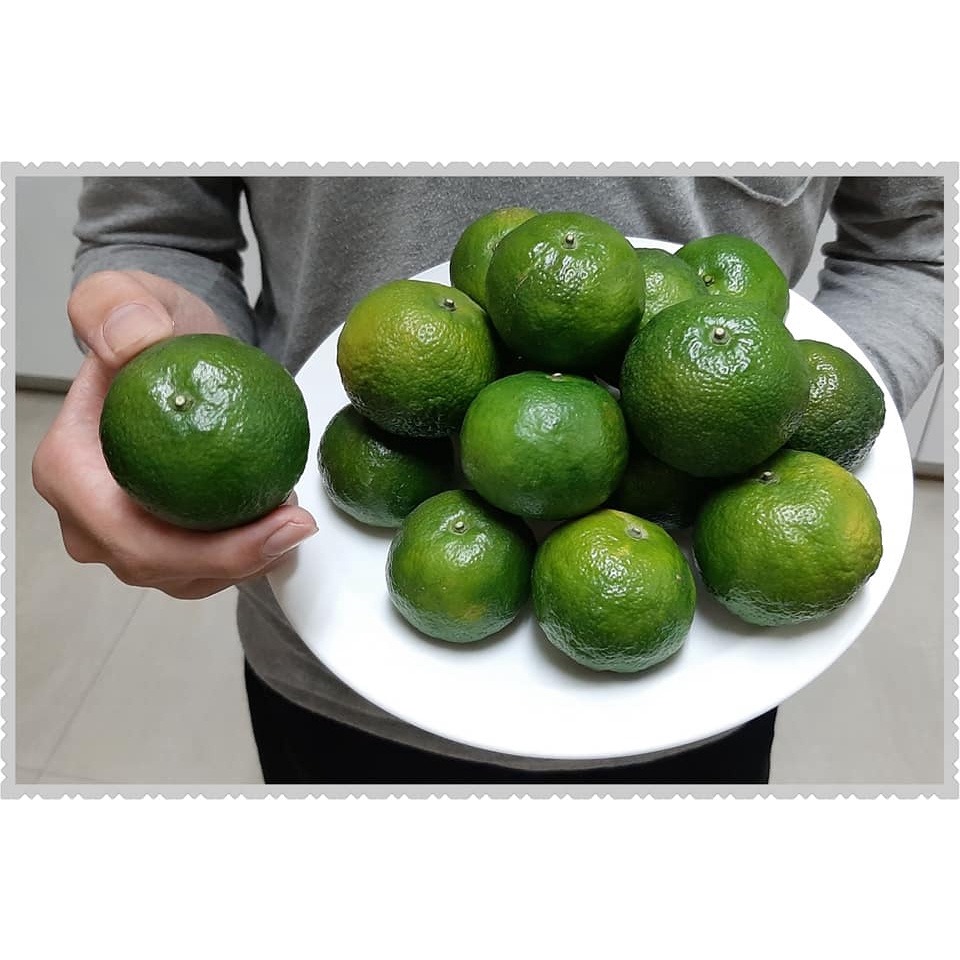 【新竹新埔橘子柳丁】現採出單《老欉》日本綠皮蜜柑砂糖橘 自產自銷-細節圖4