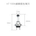 H7 100W鹵素燈泡/單只