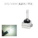 D1S/4300K 原廠光/單支