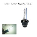 D4S/4300K 原廠光/單支