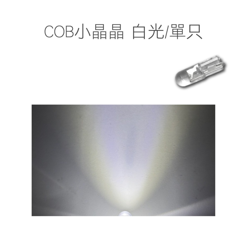 COB小晶晶 白光/單只