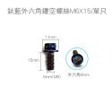 鈦藍外六角鏤空螺絲M6X15/單只