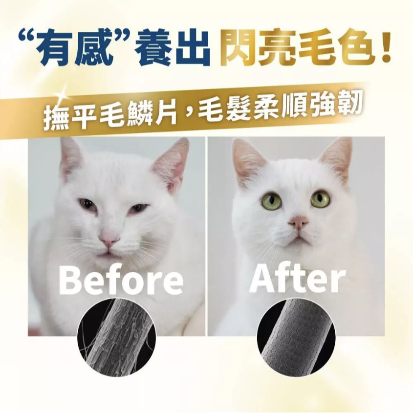[ZERO] 毛掌醫學 PawsMed 磷蝦魚油 速餵壓瓶 16ml【🐶犬🐱貓用】寵物魚油 皮毛保健-細節圖5