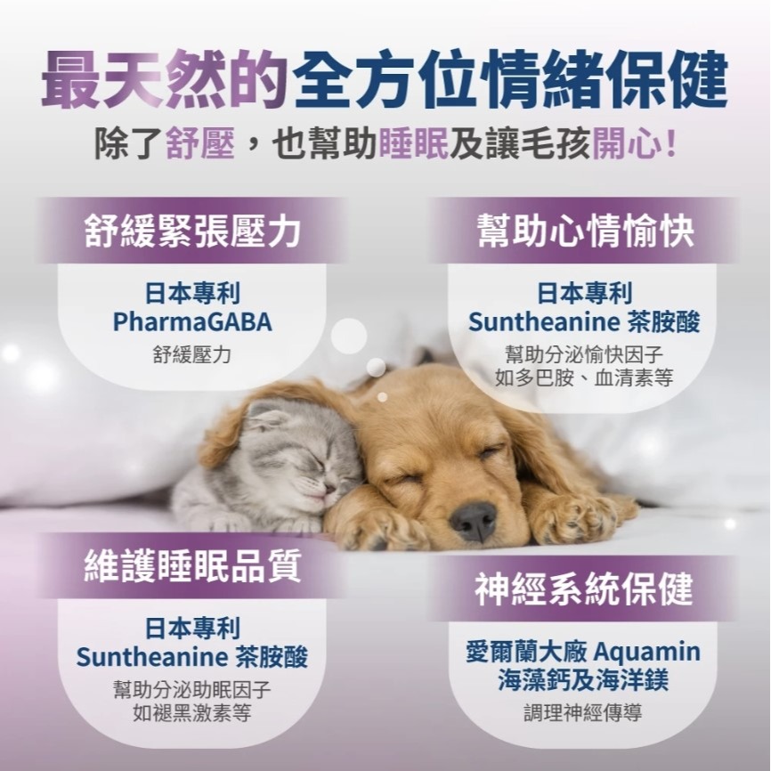 [ZERO] 毛掌醫學 好情緒 保健肉泥 6g x30條【🐶犬🐱貓用】貓零食 狗零食 舒緩外出壓力 維護睡眠品質-細節圖5