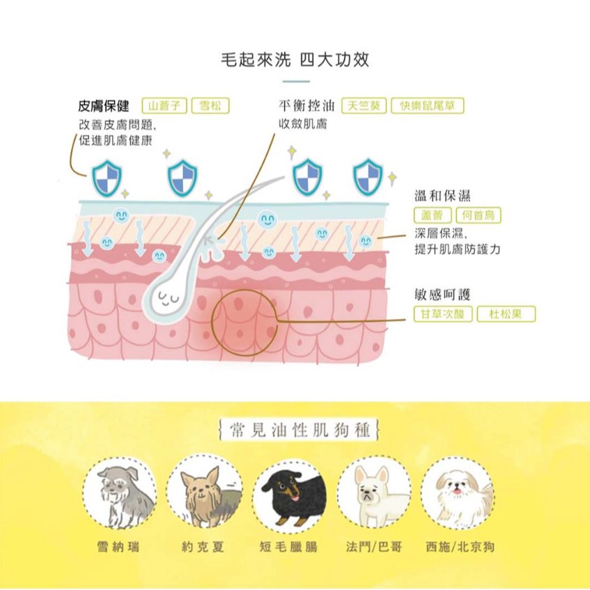 [ZERO] 毛起來 癢癢退散洗毛精 汪汪專用 500ml【🐶犬用】草本養護 搔癢肌適用 改善體味-細節圖4