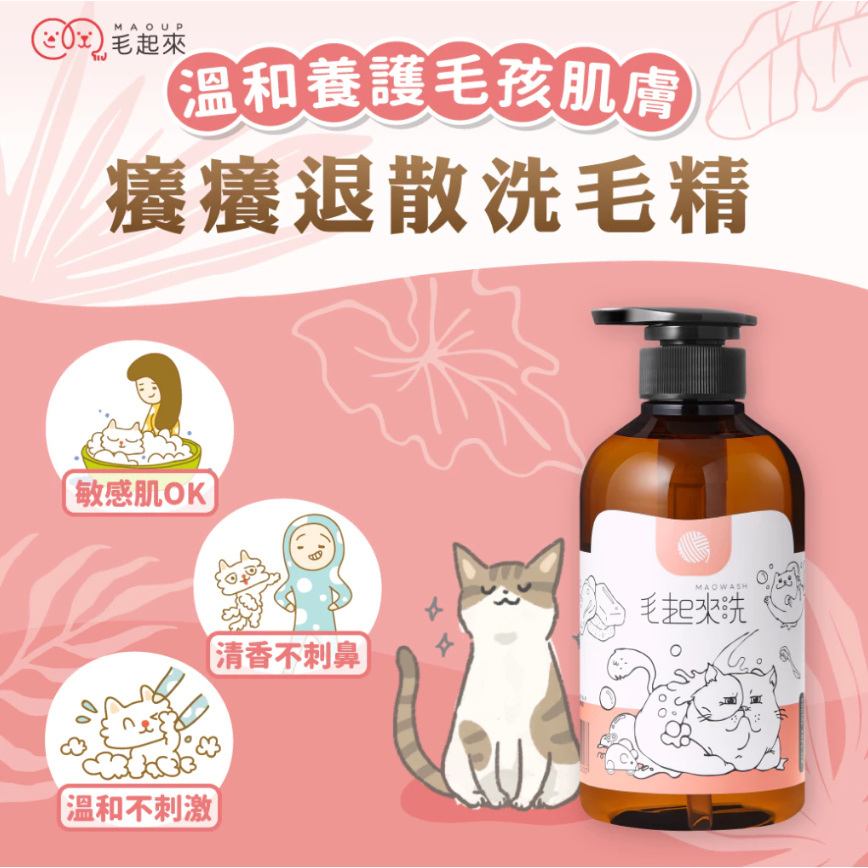 [ZERO] 毛起來 癢癢退散洗毛精 貓貓專用 500ml【🐱貓用】草本養護 貓沐浴乳 貓皮膚清潔-細節圖2