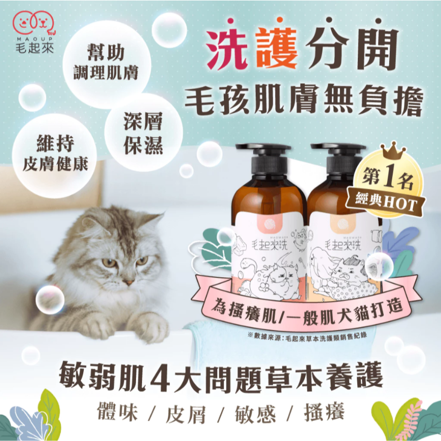 [ZERO] 毛起來 癢癢退散洗毛精 貓貓專用 500ml【🐱貓用】草本養護 貓沐浴乳 貓皮膚清潔-細節圖3