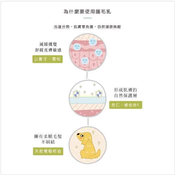 [ZERO] 毛起來 柔順不打結神奇護毛乳 500ml【🐶犬🐱貓用】寵物護毛乳 狗貓護毛乳-細節圖2