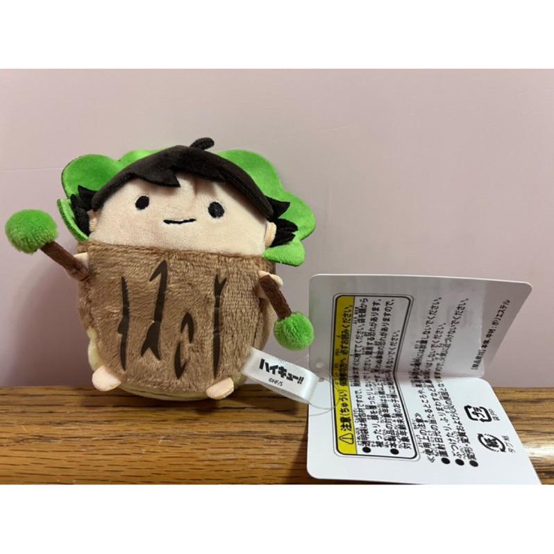 （八怪 現貨）排球少年 及川徹樹 樹徹 及川樹 及川 趴娃 及川徹 娃 排少 趴娃 毛絨玩偶 排少 玩偶 排少公仔 趴娃-細節圖2