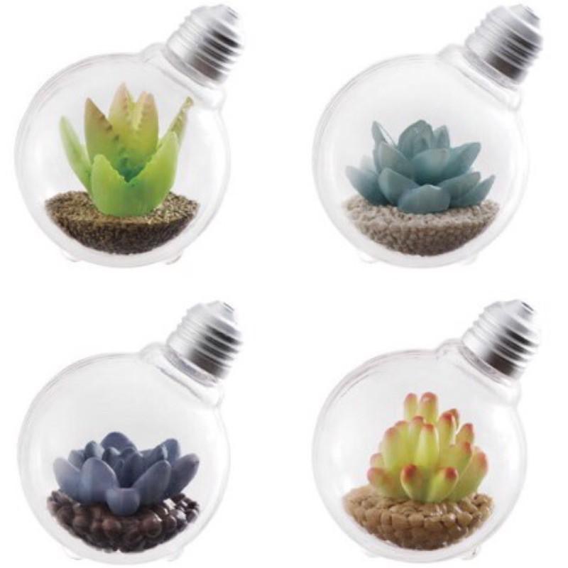 (八怪 現貨)萬代 Bandai 豆電球 燈泡 盆栽 植栽 多肉植物 絕版 扭蛋 轉蛋 4款合售-細節圖2