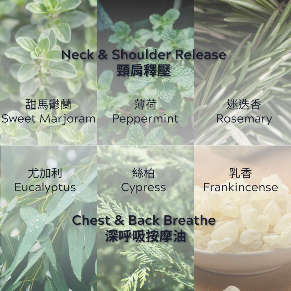 MW精油工坊｜AirTouch｜居家身體按摩油100ml｜特調按摩油｜純植物複方精油｜居家SPA｜便攜型按摩油-細節圖2