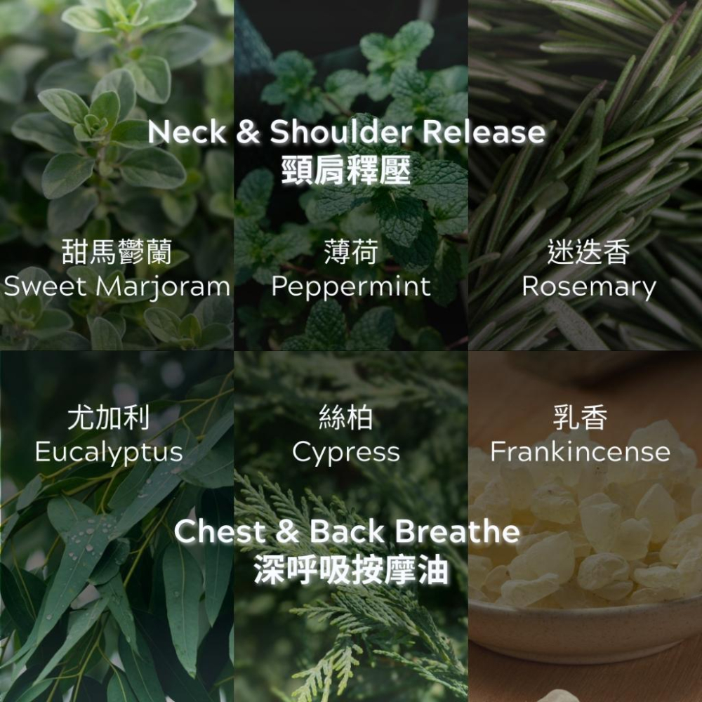 MW精油工坊｜PlantSilk｜芳療級身體按摩油100ml｜特調按摩油｜IFA芳療師監製特調｜高階芳療按摩油｜便攜型-細節圖2