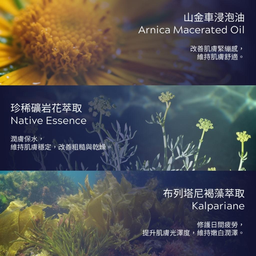 MW精油工坊｜PlantSilk｜芳療級身體按摩油100ml｜特調按摩油｜IFA芳療師監製特調｜高階芳療按摩油｜便攜型-細節圖4