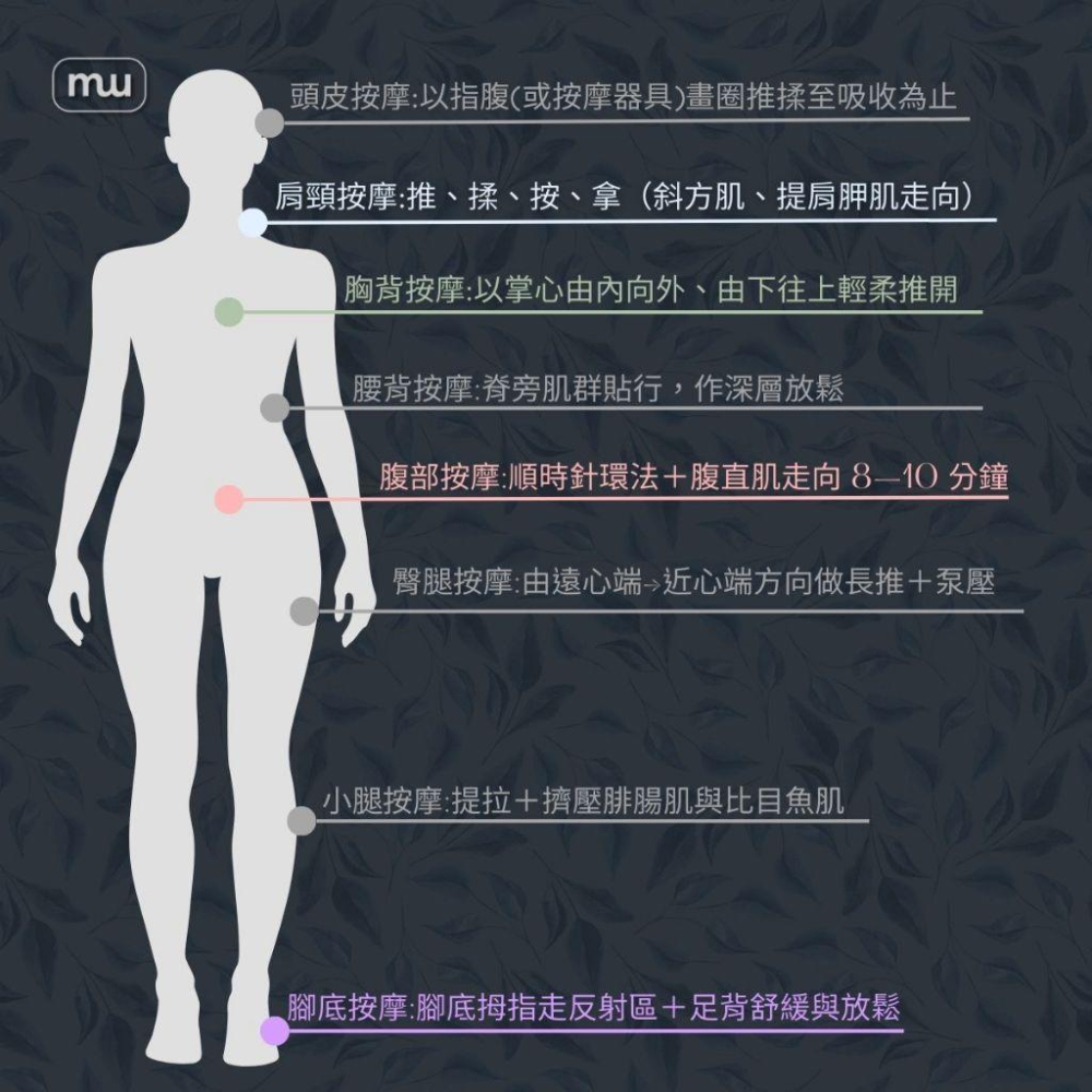 MW精油工坊｜PlantSilk｜芳療級身體按摩油100ml｜特調按摩油｜IFA芳療師監製特調｜高階芳療按摩油｜便攜型-細節圖6