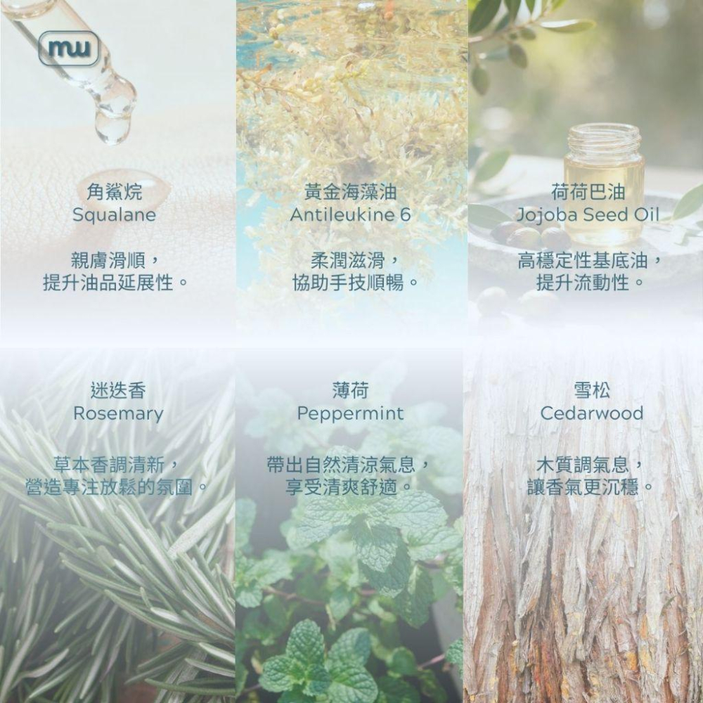 MW精油工坊｜AirTouch 頭皮覺醒按摩油｜Scalp Awaken｜全植物芳療按摩油｜250ml-細節圖3