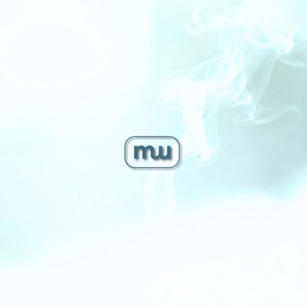 MW精油工坊｜AirTouch 頭皮覺醒按摩油｜Scalp Awaken｜全植物芳療按摩油｜250ml-細節圖9