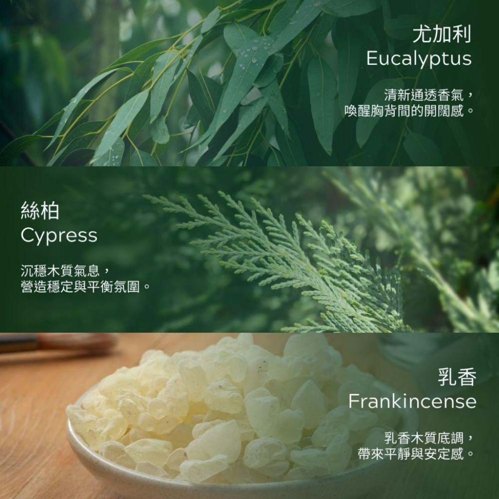 MW精油工坊｜Plantsilk｜Chest & Back Breathe 深呼吸100ml｜長程按摩不累｜頸肩釋壓按摩-細節圖3