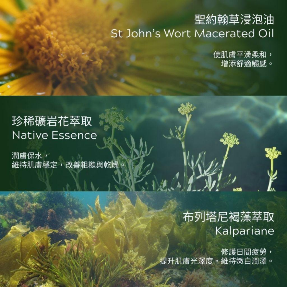 MW精油工坊｜Plantsilk｜Chest & Back Breathe 深呼吸100ml｜長程按摩不累｜頸肩釋壓按摩-細節圖4