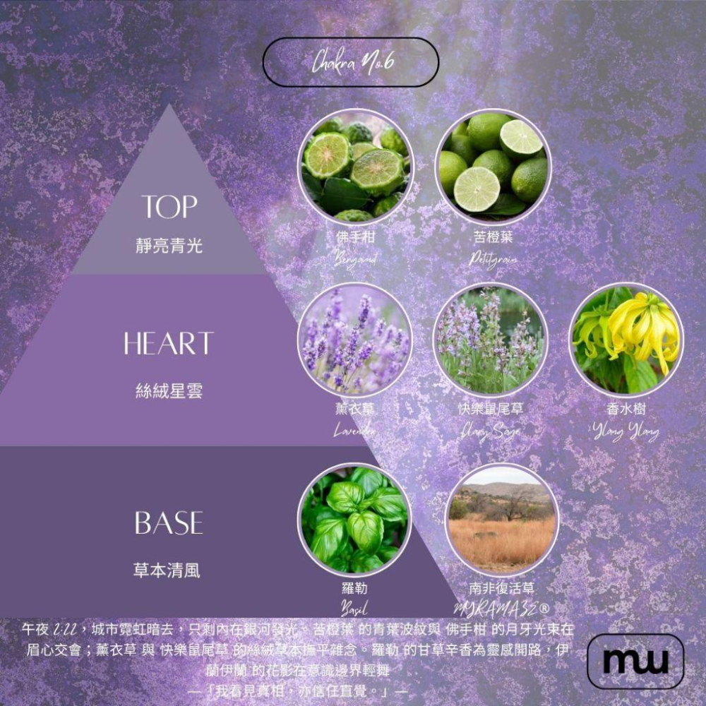 MW精油工坊｜No.6直覺洞察按摩油 Intuitive｜100ml/250ml｜七脈輪頂輪｜天然精油｜瑞士專利原料-細節圖2