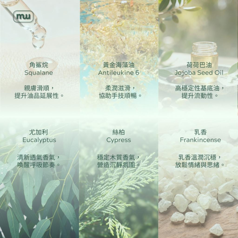 MW精油工坊｜AirTouch｜Chest & Back Breathe 深呼吸按摩油250ml｜居家胸背舒展｜筋絡舒暢-細節圖3