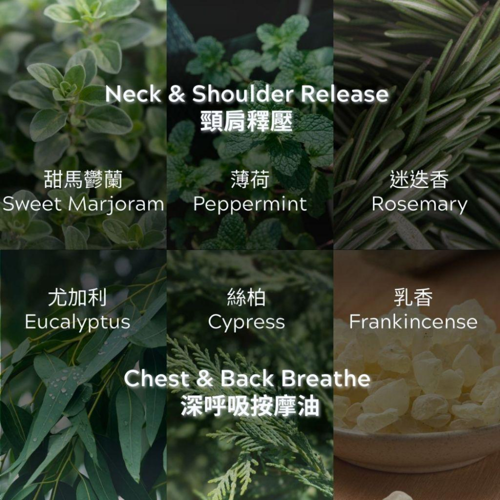 MW精油工坊｜PlantSilk｜芳療級身體按摩油250ml｜特調按摩油｜IFA芳療師監製特調｜高階芳療按摩油-細節圖2