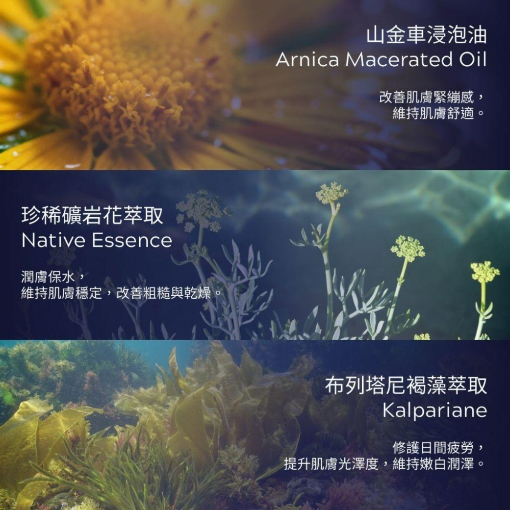 MW精油工坊｜PlantSilk｜芳療級身體按摩油250ml｜特調按摩油｜IFA芳療師監製特調｜高階芳療按摩油-細節圖4
