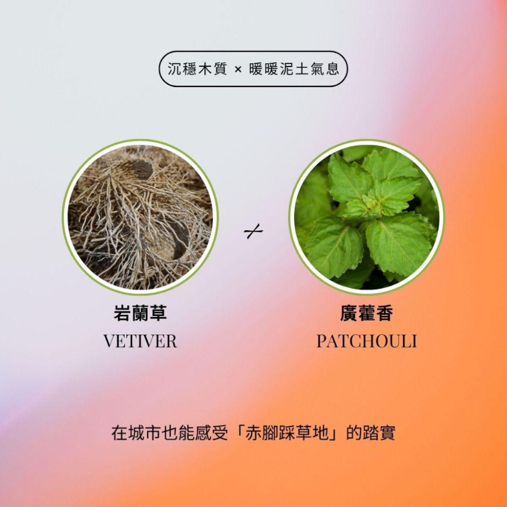 MW精油工坊｜No.1 根源安定按摩油Ground Root｜100ml/250ml｜七脈輪頂輪｜天然精油｜瑞士專利原料-細節圖2