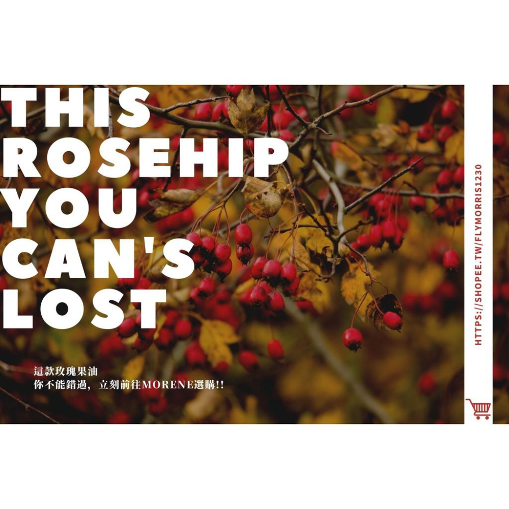【MW精油工坊】玫瑰果油 Rose Hip Oil 50mL / 100mL / 250ml-細節圖2