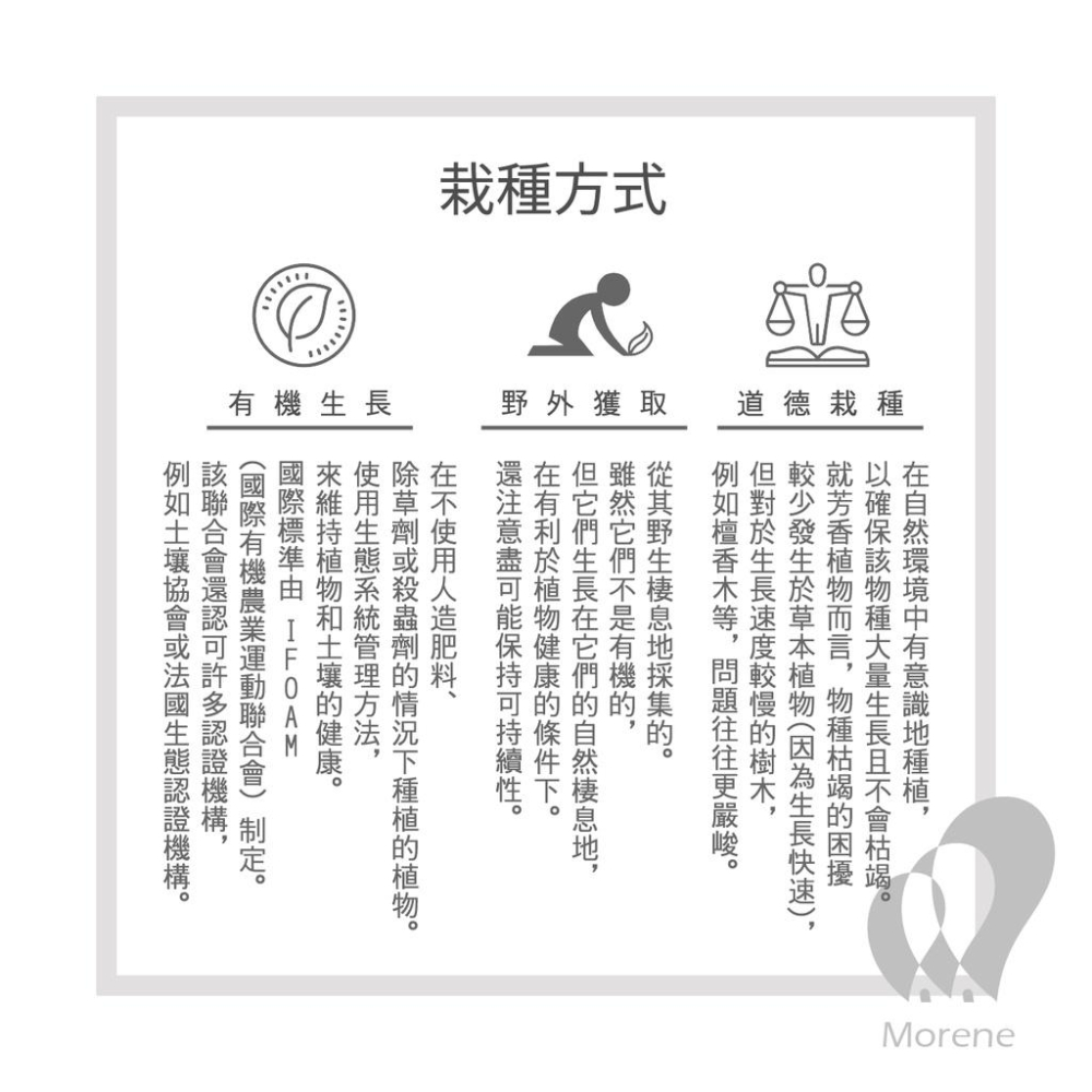 【Tisserand】輕盈麗水身體按摩油 Cellulite Body Oil 50ml / 500ml-細節圖6