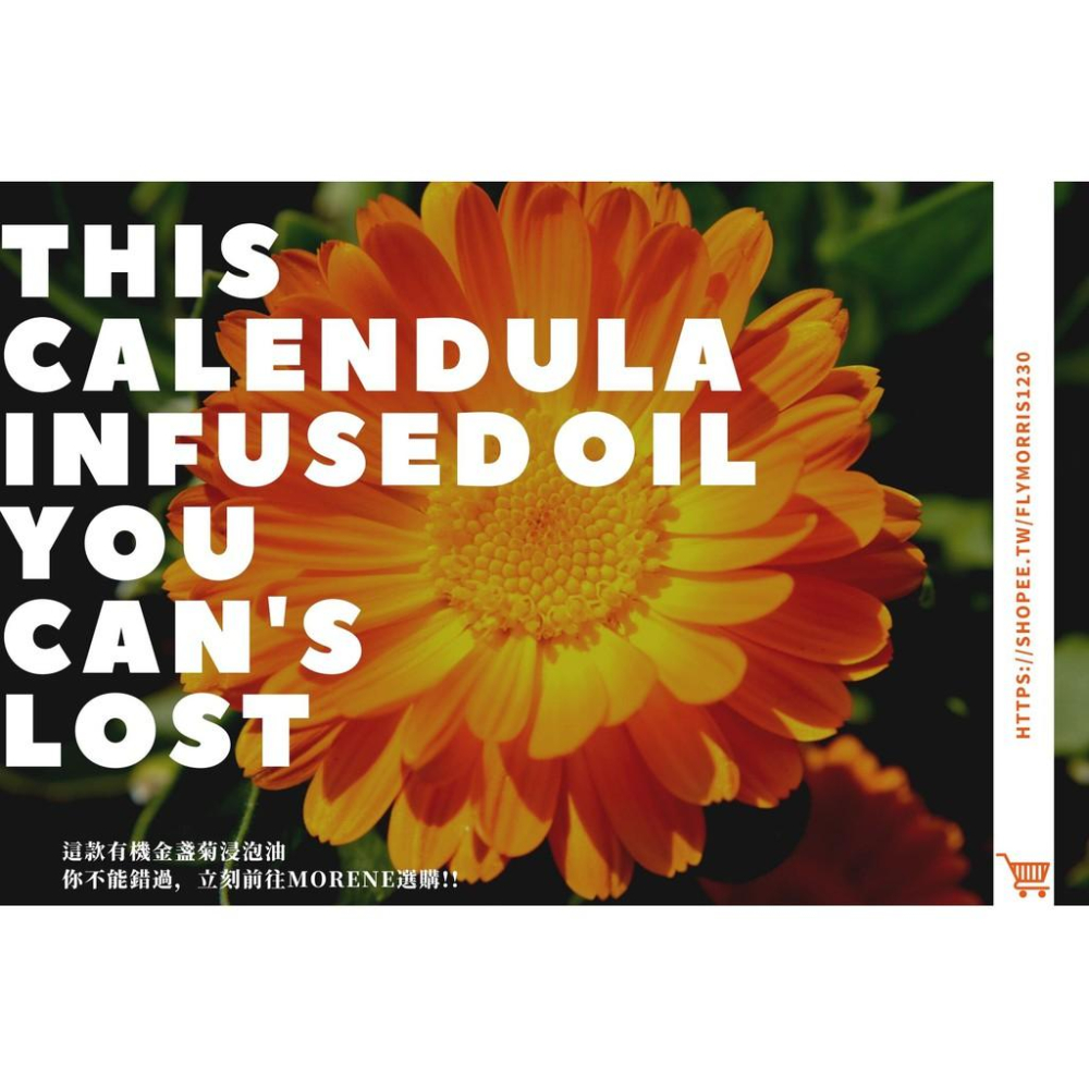 【MW精油工坊】金盞菊浸泡油 Calendula Infused Oil 50mL / 100mL / 250mL-細節圖2