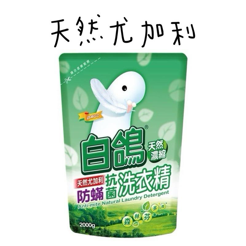白鴿洗衣精補充包 天然濃縮洗衣精2000g  護纖 防螨 防霉 香氛 抗病毒洗衣精補充包-細節圖3