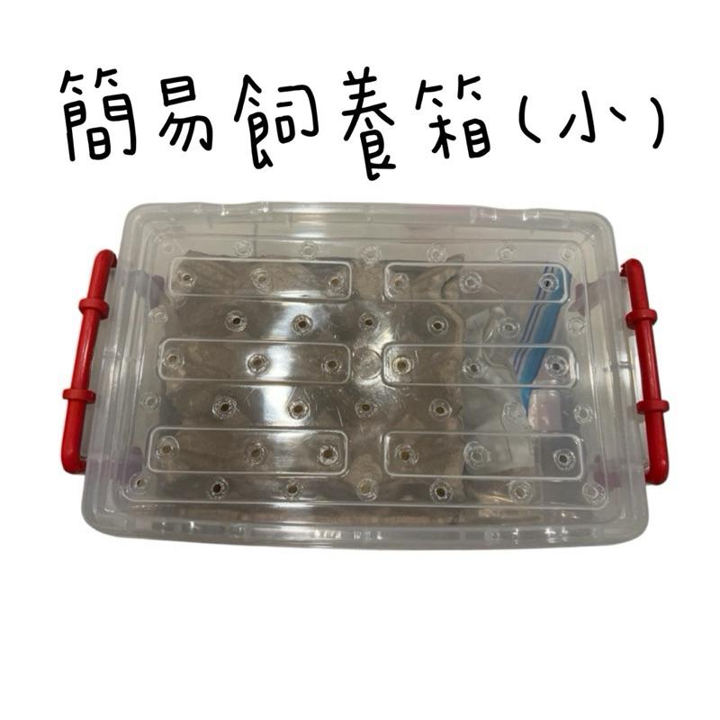 杜比亞 紅蟑 蟋蟀  簡易飼養組 新手飼養箱 飼養箱套組-細節圖2