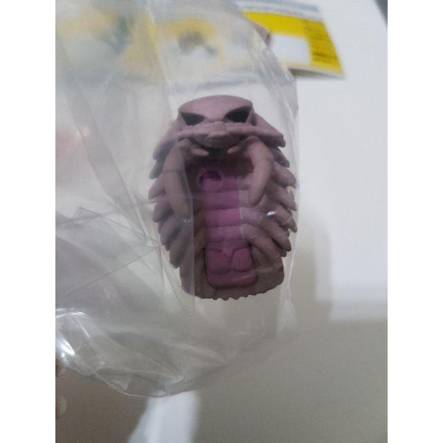 杯緣子 水族館 池袋 太陽城限定 海天使 樹蛙 海狗 大王蟲-細節圖2