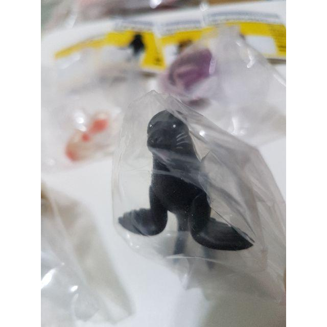 杯緣子 水族館 池袋 太陽城限定 海天使 樹蛙 海狗 大王蟲-細節圖3