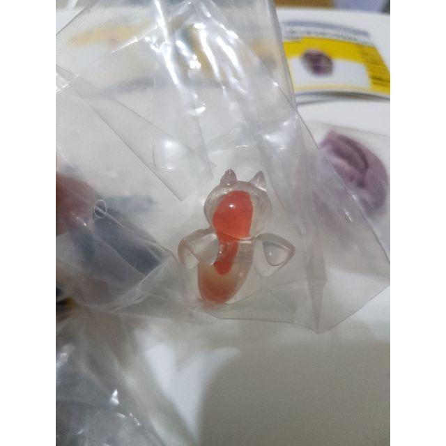 杯緣子 水族館 池袋 太陽城限定 海天使 樹蛙 海狗 大王蟲-細節圖4