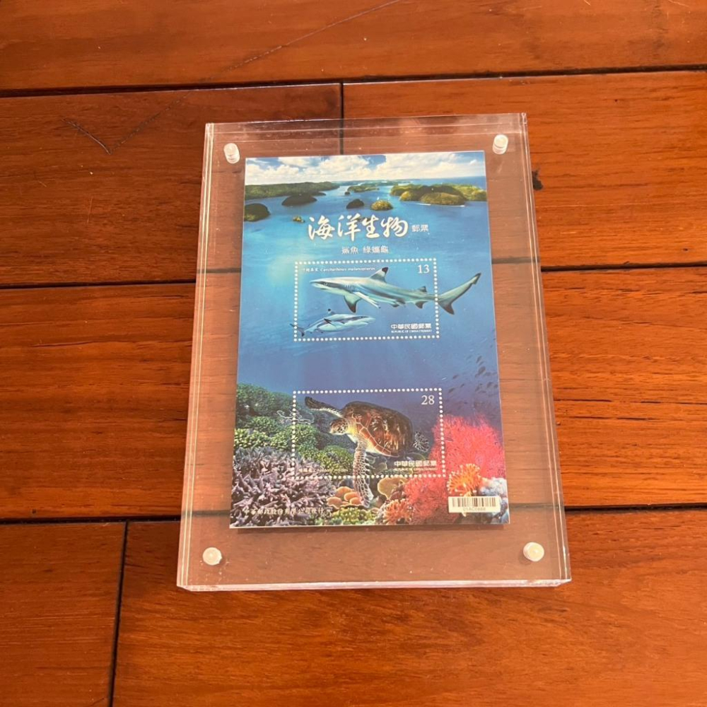 《可刷卡分期、可議價》2019台灣燈會在屏東 特665 海洋生物 郵票 小全張 鯊魚 綠蠵龜 郵票框 壓力克框 郵局-細節圖5