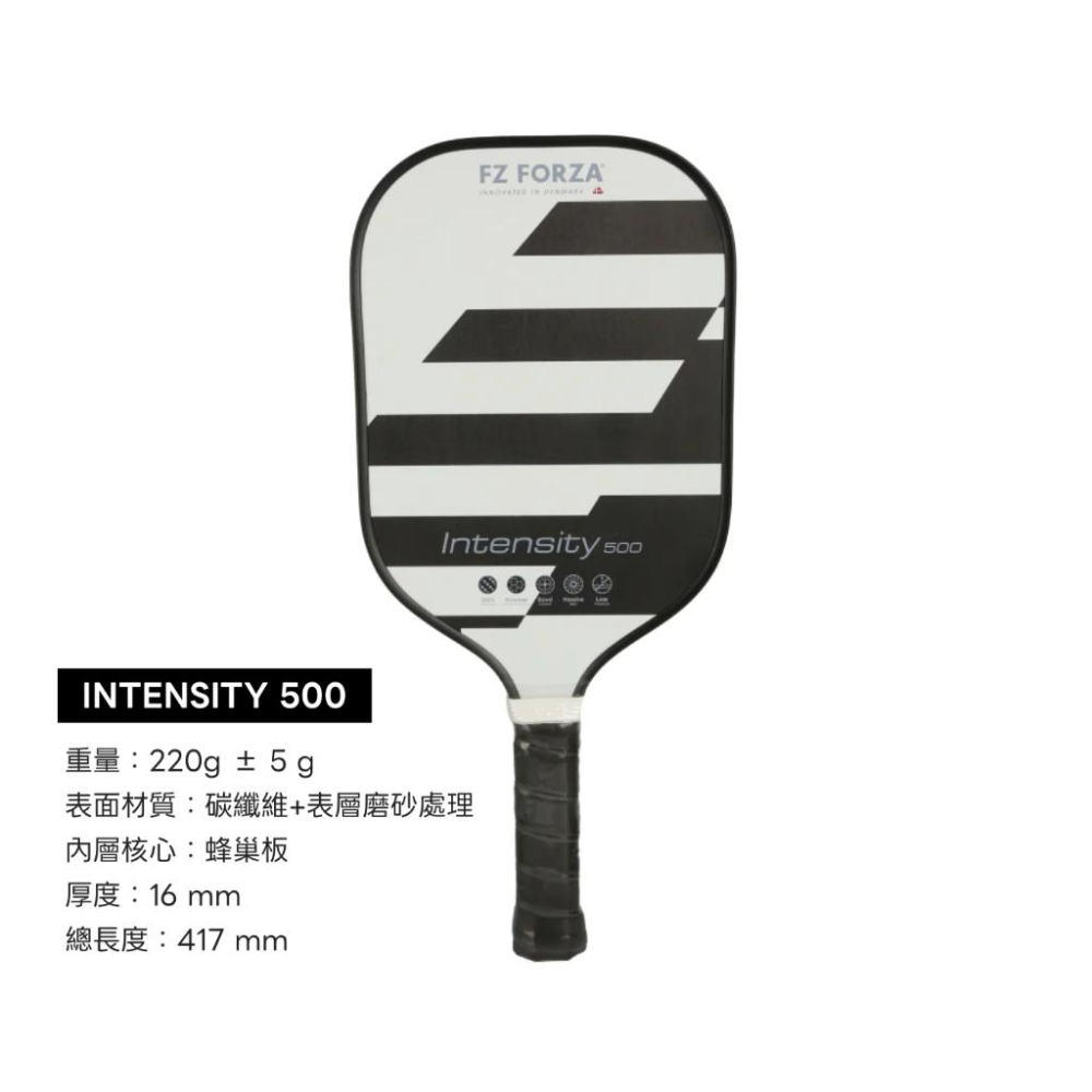 【凱將體育羽球店】FZ FORZA 匹克球拍 Intensity 500 Intensity 1000 匹克球-細節圖2