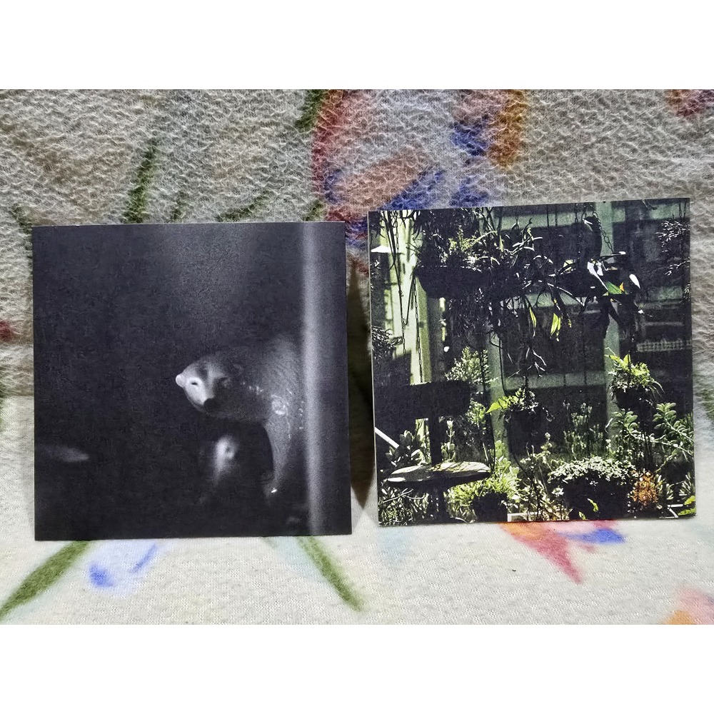 盧凱彤cd=你安安靜靜地躲起來(2012年發行，宣傳品)-細節圖4
