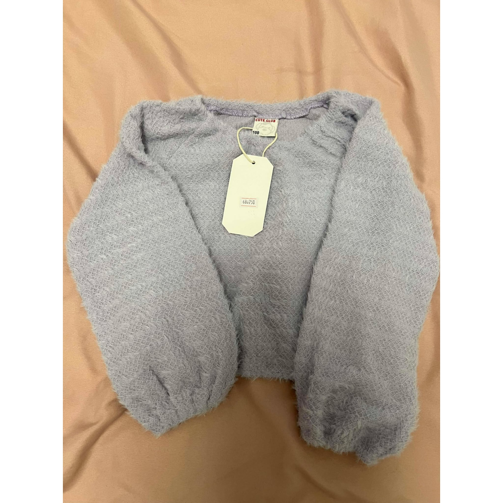 🔥現貨出清秒出🔥女寶服飾/ELSA長袖上衣/絨毛背心/冬季刷毛洋裝/刷毛上衣針織套裝/學習褲全帶超甜-細節圖2