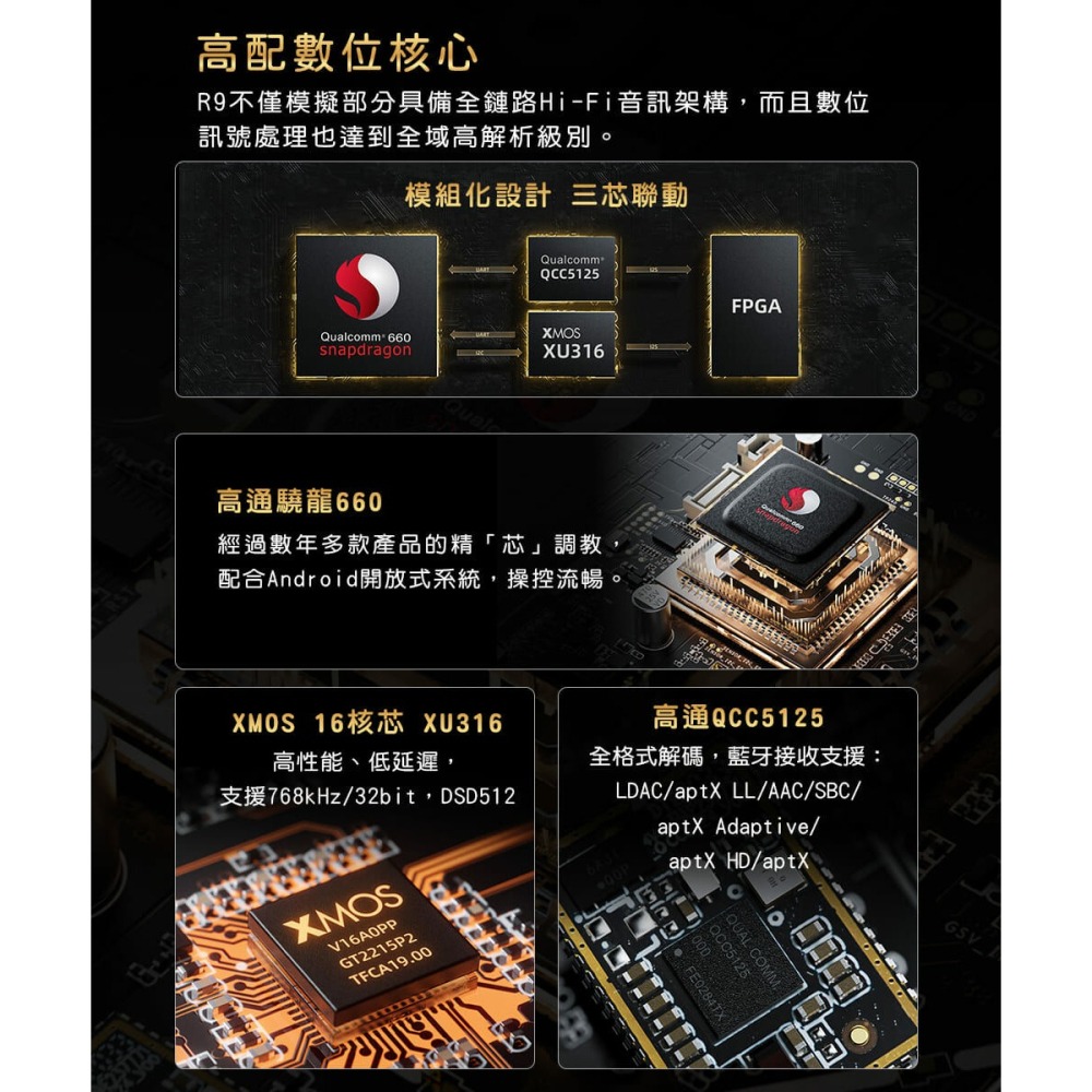 【文樂影音】FiiO R9 桌上型旗艦音樂解碼播放器 台灣公司貨-細節圖8