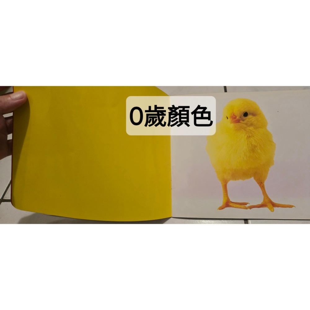 二手 出清學齡前寶寶 幼兒 0歲 感官發展系列 幼福 黑白 顏色 啟蒙 色彩 視覺 巧連智1-2歲和寶寶一起玩遊戲書-細節圖2