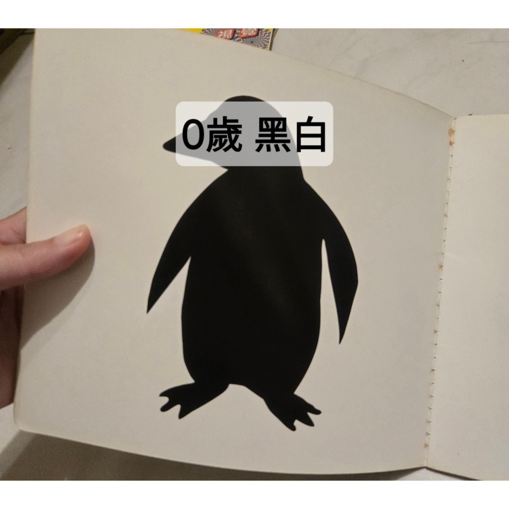 二手 出清學齡前寶寶 幼兒 0歲 感官發展系列 幼福 黑白 顏色 啟蒙 色彩 視覺 巧連智1-2歲和寶寶一起玩遊戲書-細節圖3