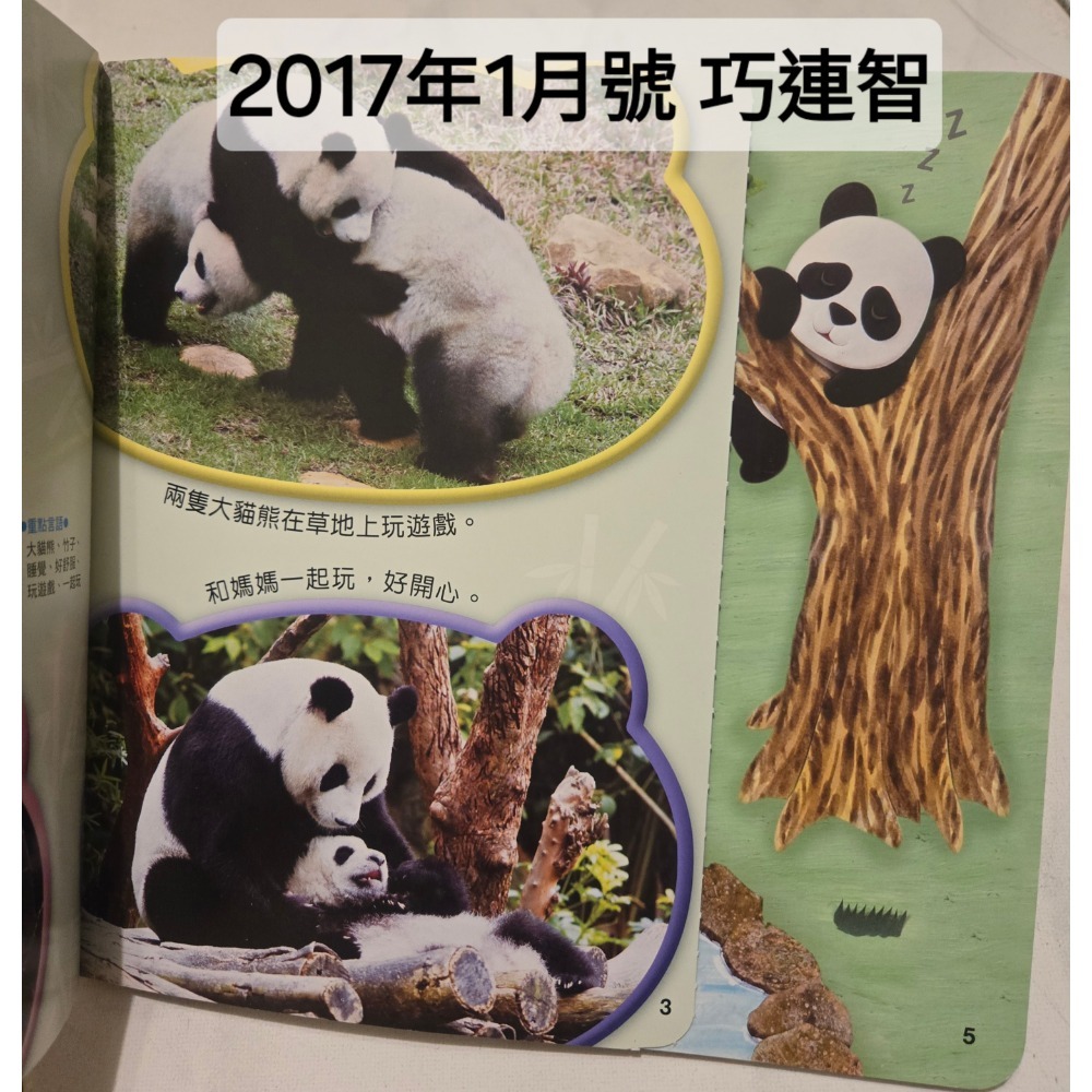 二手 出清學齡前寶寶 幼兒 0歲 感官發展系列 幼福 黑白 顏色 啟蒙 色彩 視覺 巧連智1-2歲和寶寶一起玩遊戲書-細節圖8